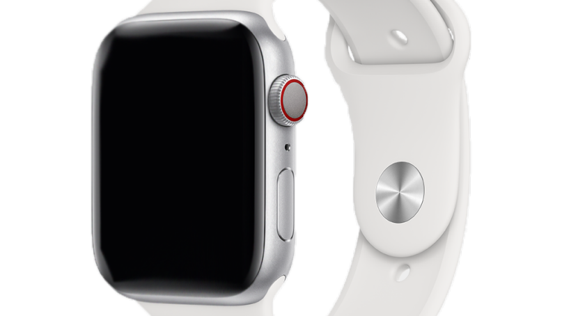 apple watch s5 44mm silver