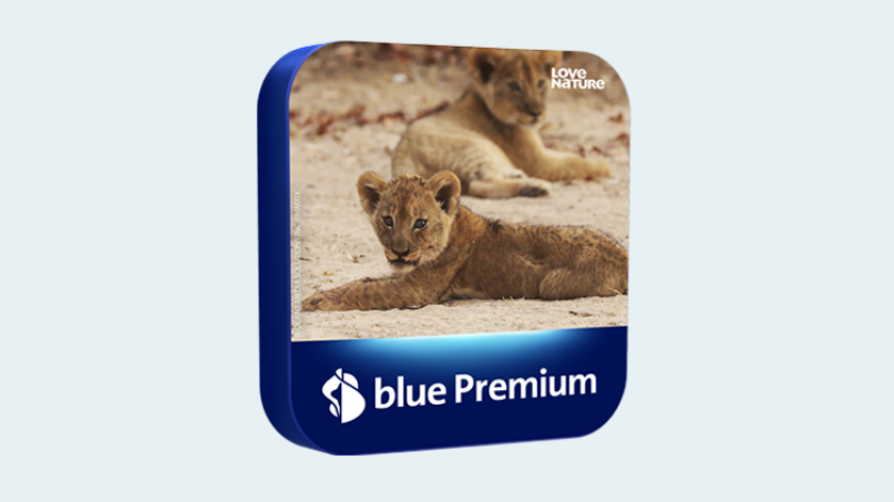 bluepremium_it