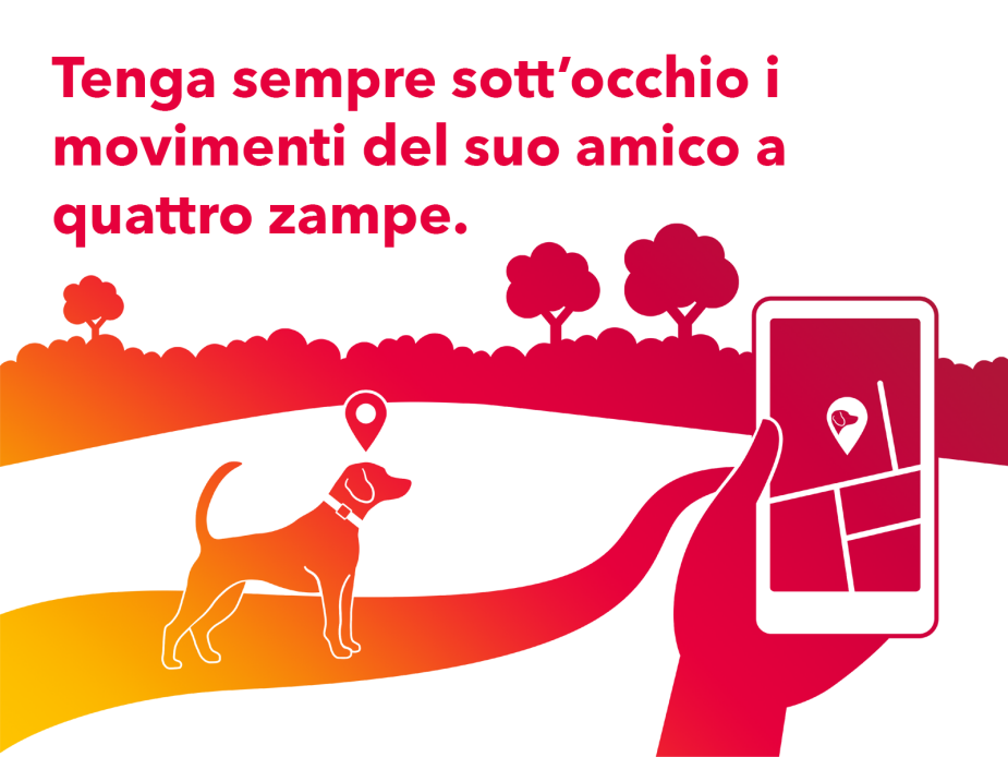 IT_vierbeiner_1600x1200